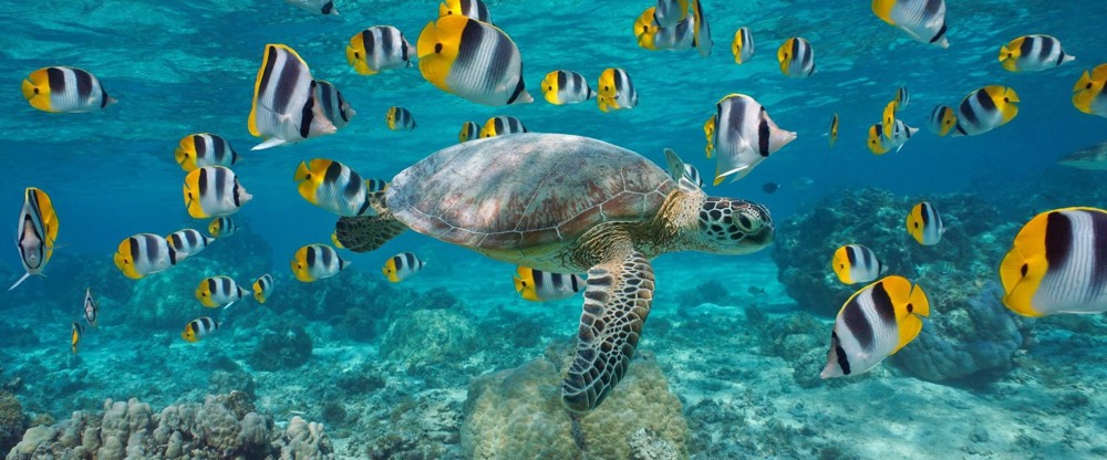 Alternatives Update – Private Market-Secondaries: „Perfekter Zeitpunkt für lukrative Investments